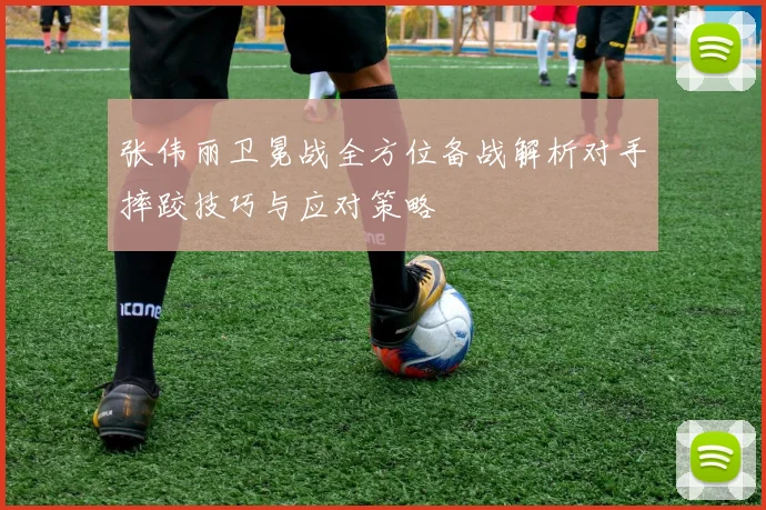 张伟丽卫冕战全方位备战解析对手摔跤技巧与应对策略