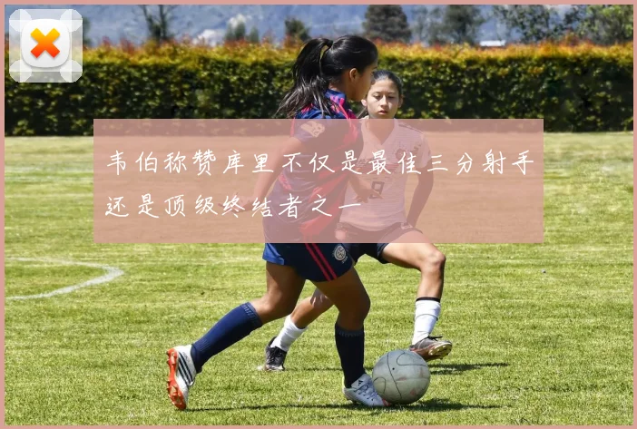 韦伯称赞库里不仅是最佳三分射手还是顶级终结者之一