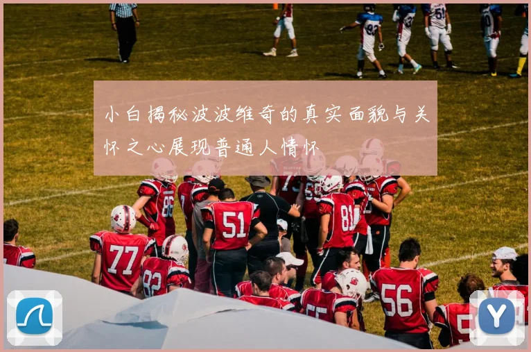 小白揭秘波波维奇的真实面貌与关怀之心展现普通人情怀